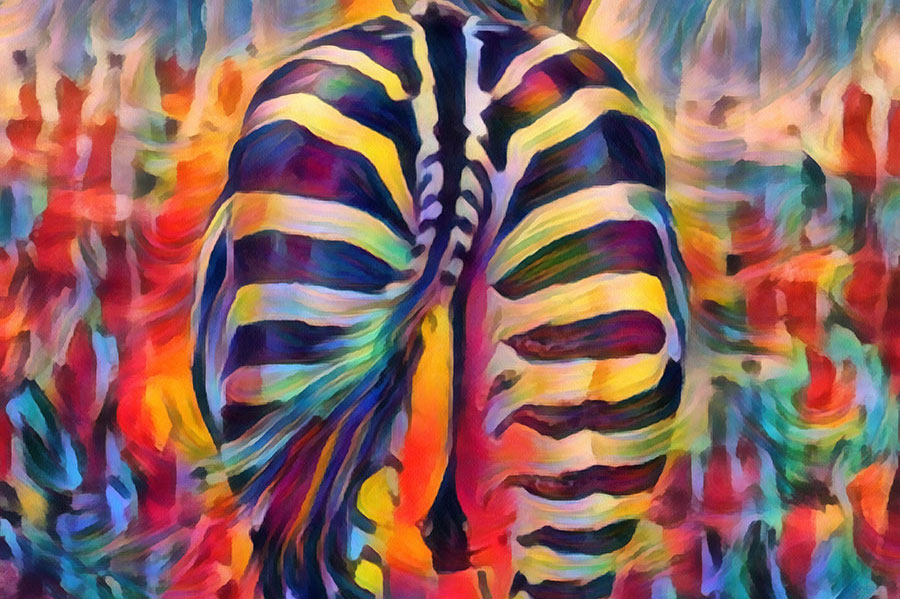 Zebra-Tail